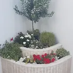 Adriatic Sea View Apartment